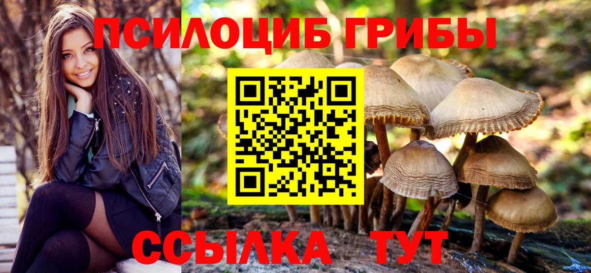Кашира  Псилоцибиновые грибы Psilocybine cubensis  Вход с VPN 