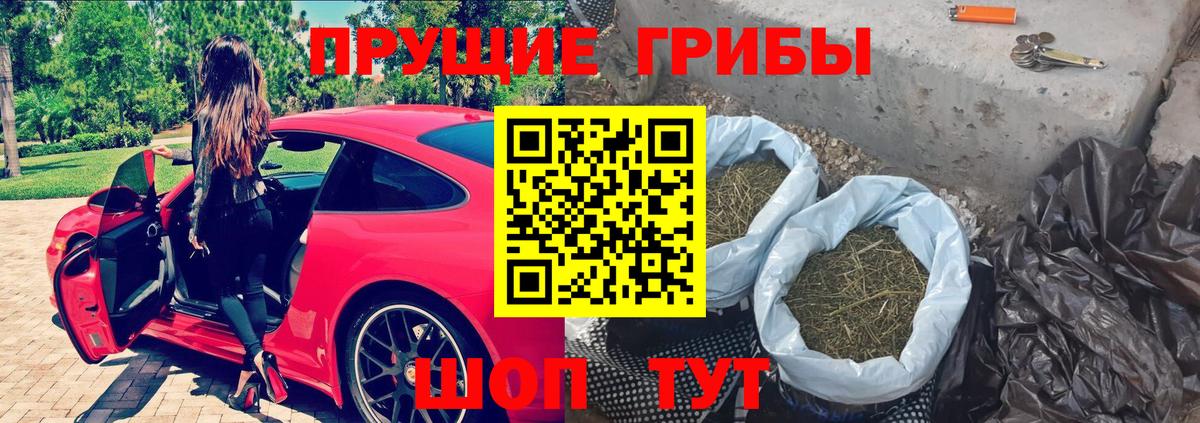 Галлюциногенные грибы Psilocybe Кашира
