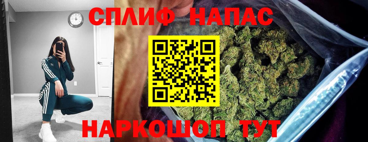 Бошки Шишки семена Кашира